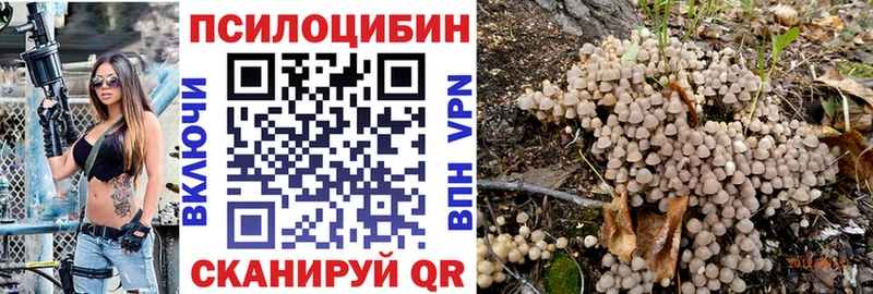 Галлюциногенные грибы Psilocybe  где купить наркоту  нарко площадка состав  Миньяр 